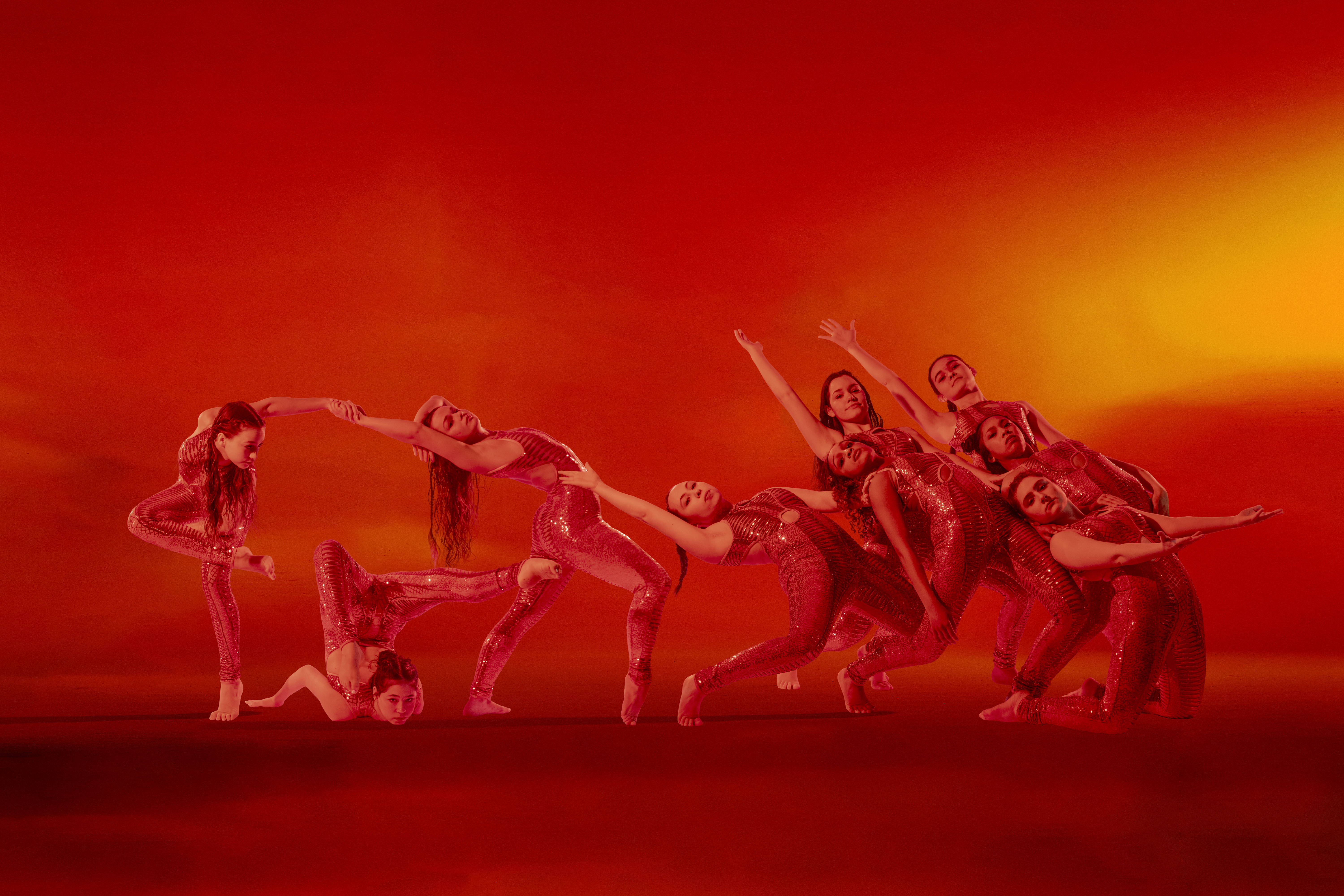 Apex High School Dance Program Handbook