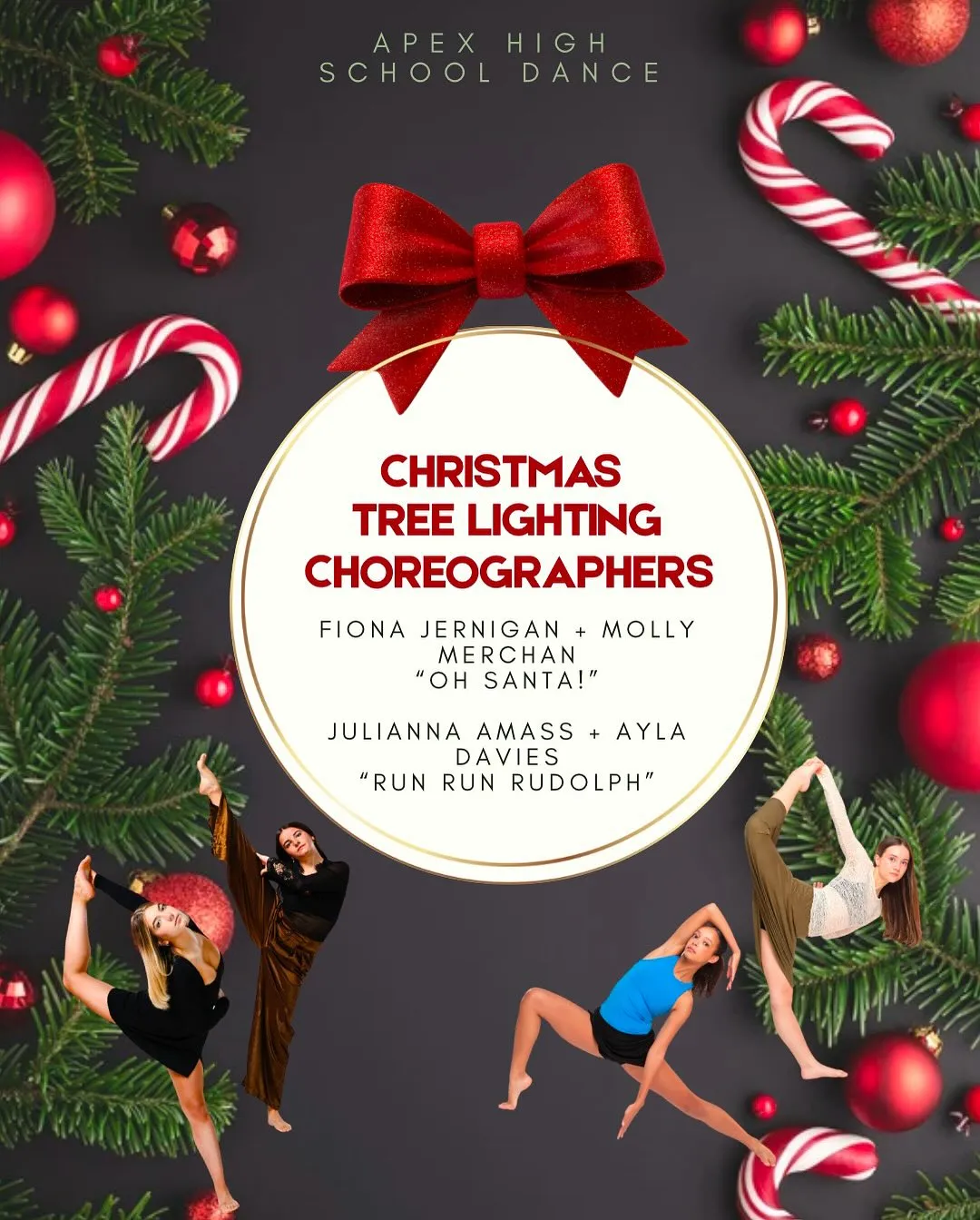 Our Apex Christmas Lighting Choreographers